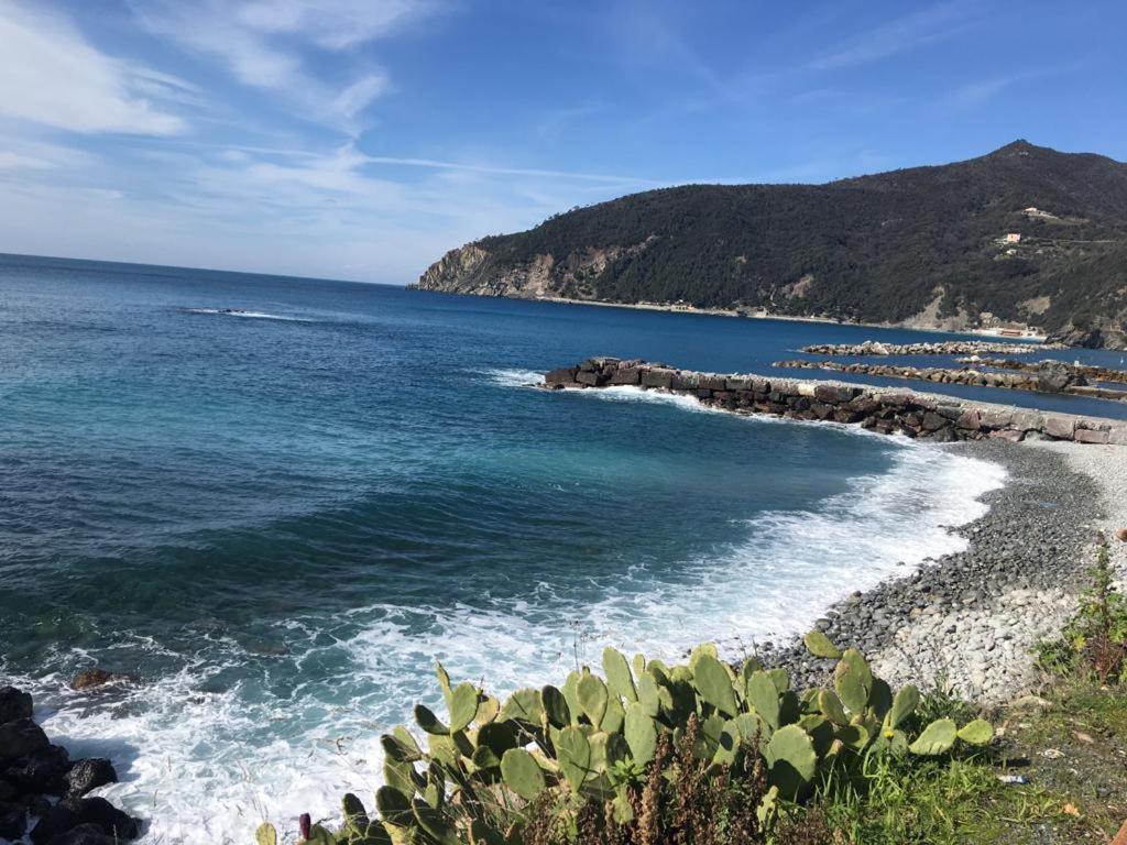 Monte * Moneglia